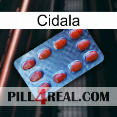 Cidala 06